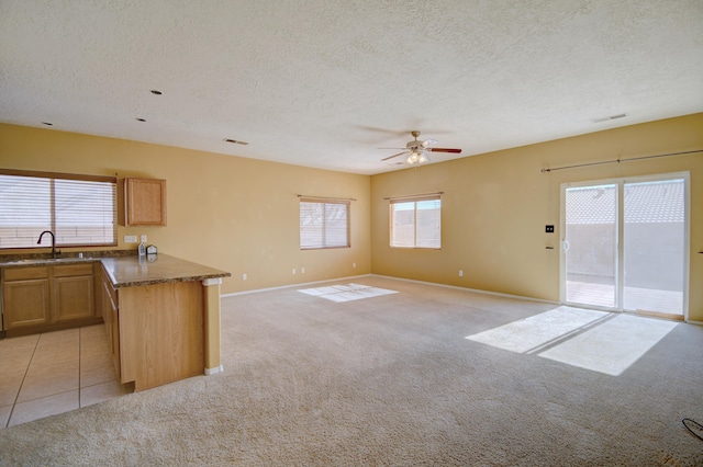 kitchen featuring sink, light carpet, and a textured ceiling