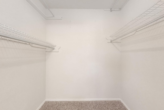 walk in closet with carpet floors