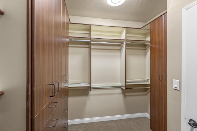 spacious closet featuring carpet floors