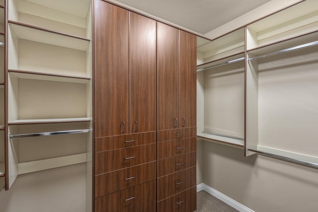 spacious closet featuring carpet floors