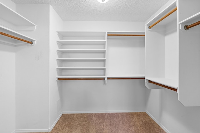 spacious closet featuring carpet flooring