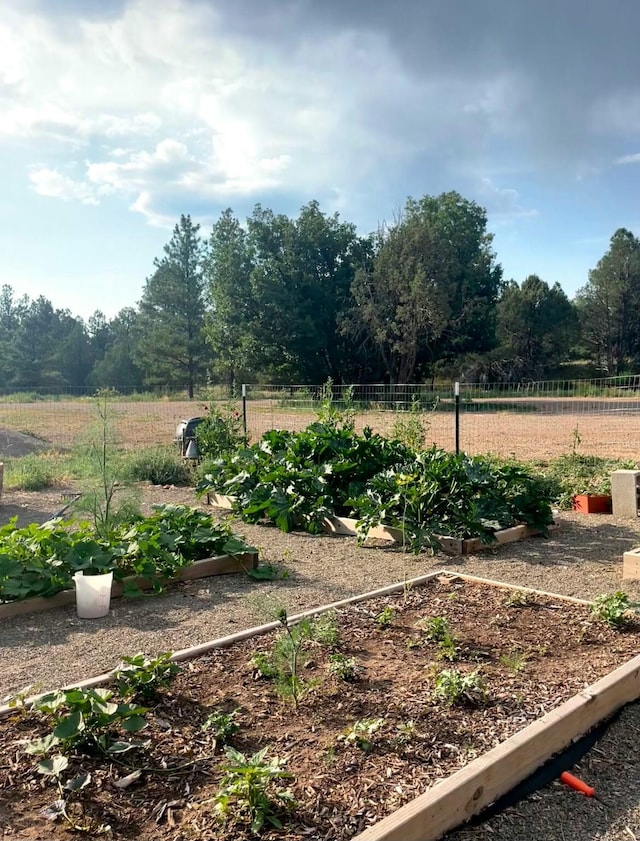 450 Juan Tomas Rd, Tijeras, NM 87059 - view of yard featuring a garden