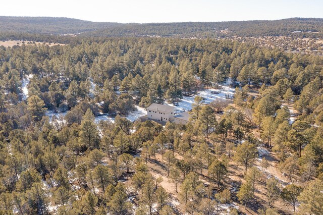 drone / aerial view with a forest view