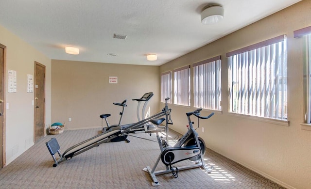 exercise area with carpet floors