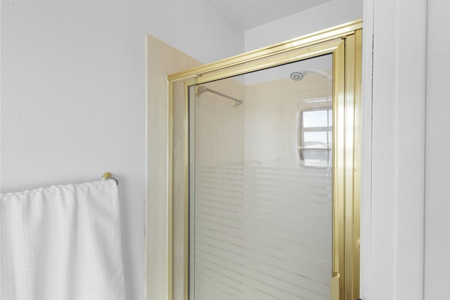 bathroom with a shower with shower door