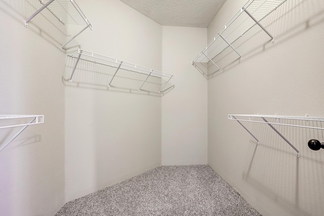 walk in closet with carpet