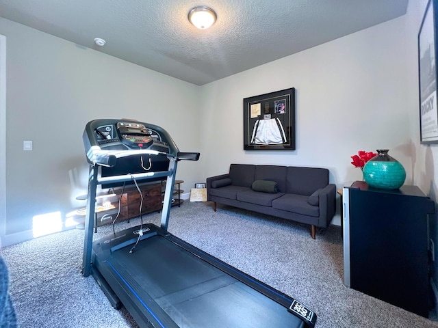 workout area featuring a textured ceiling and carpet flooring