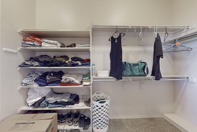 spacious closet with carpet flooring