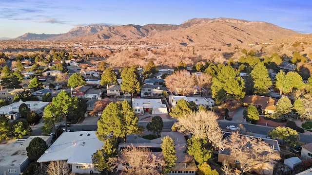 drone / aerial view featuring a mountain view