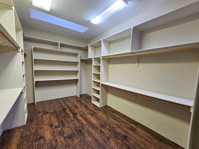 walk in closet featuring dark wood-style flooring