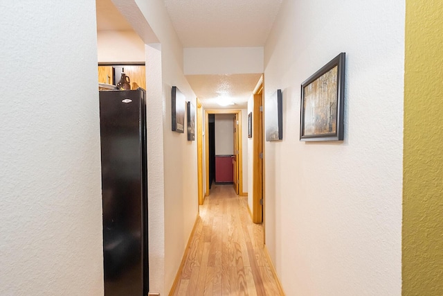 hallway featuring light wood-type flooring and a textured ceiling