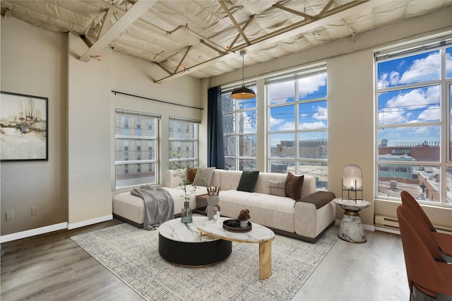 living room featuring hardwood / wood-style floors