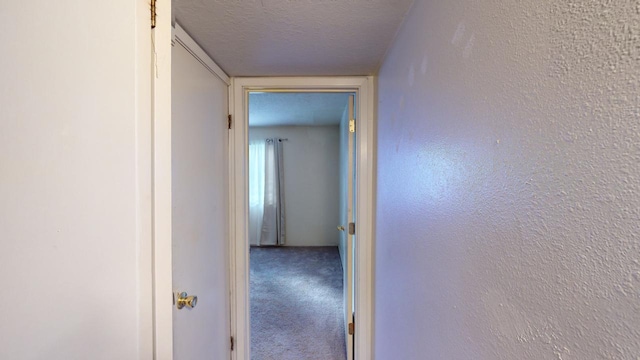 hallway with carpet floors and a textured ceiling