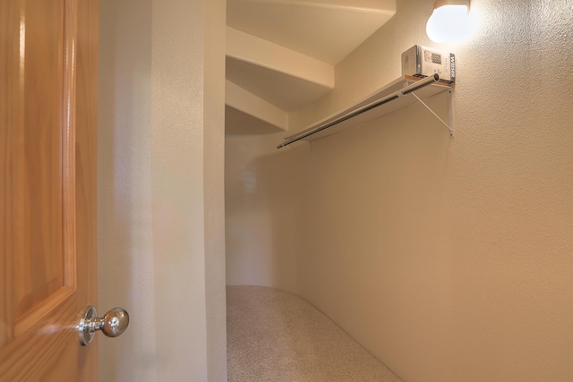 spacious closet featuring carpet