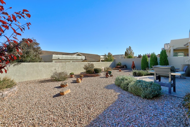 view of yard with a patio area