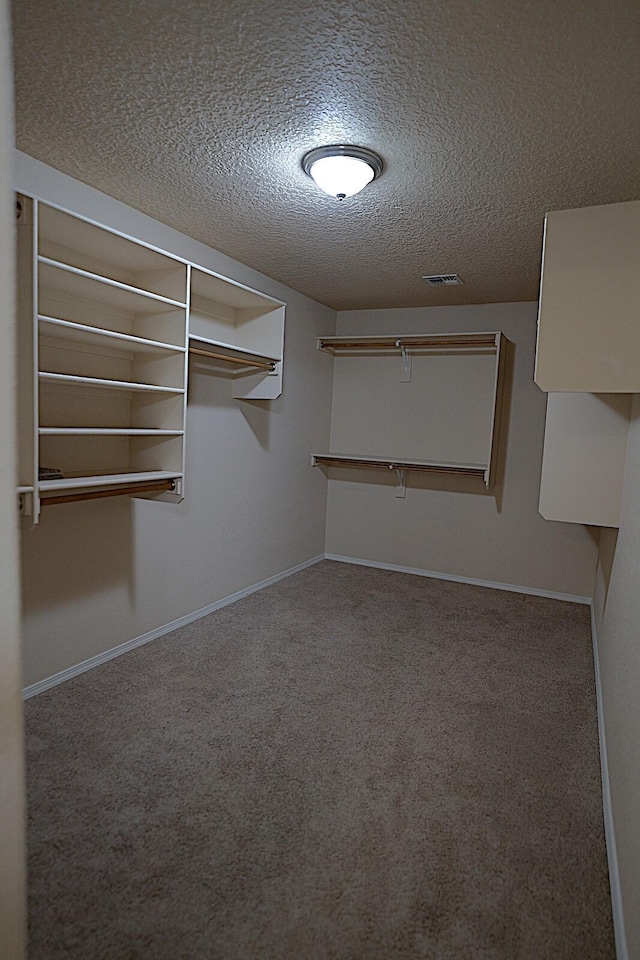 spacious closet with carpet flooring