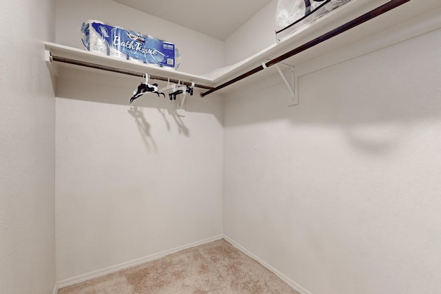 walk in closet featuring light carpet