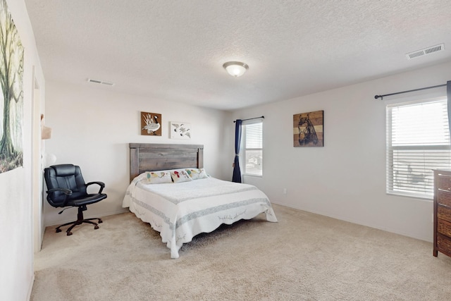 carpeted bedroom with multiple windows and a textured ceiling