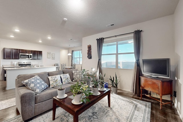 living room with dark hardwood / wood-style floors and a textured ceiling