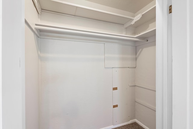 spacious closet featuring carpet flooring