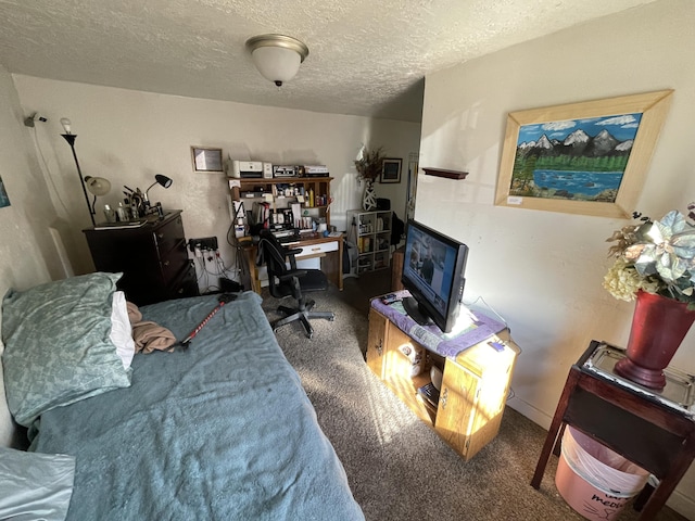 interior space featuring carpet and a textured ceiling