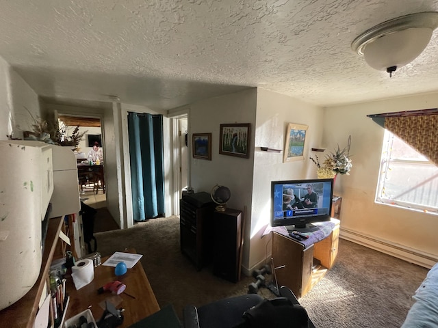 carpeted living room with a textured ceiling and baseboard heating