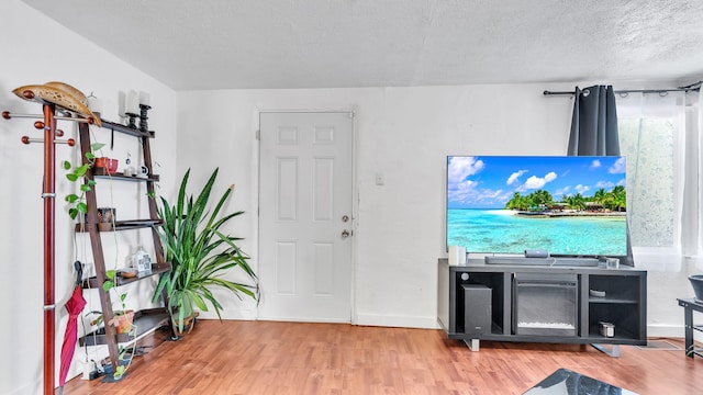 foyer entrance with hardwood / wood-style flooring and a textured ceiling