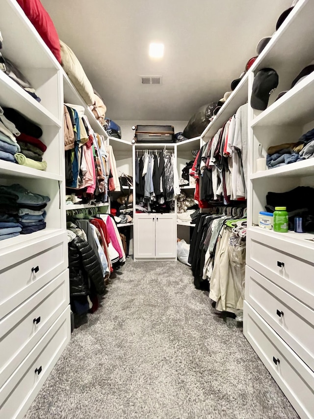 spacious closet with light colored carpet