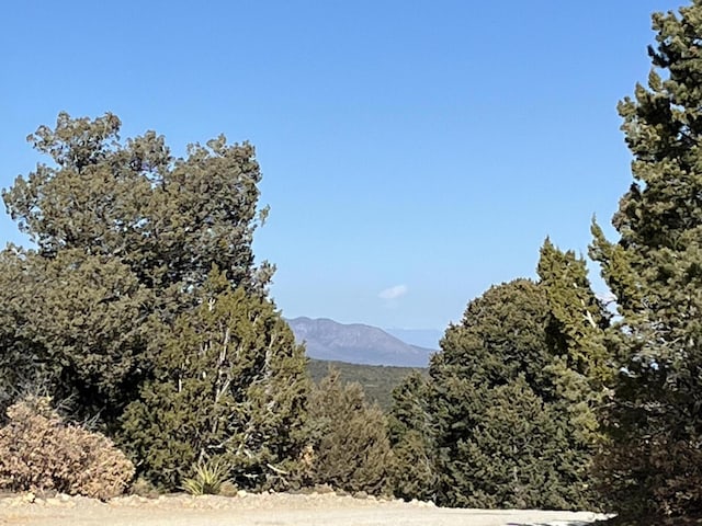 11 Pine Top Ct, Tijeras NM, 87059 land for sale