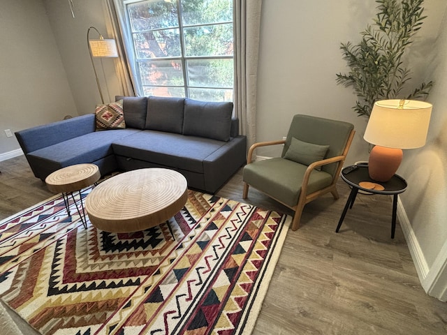 living room featuring hardwood / wood-style flooring