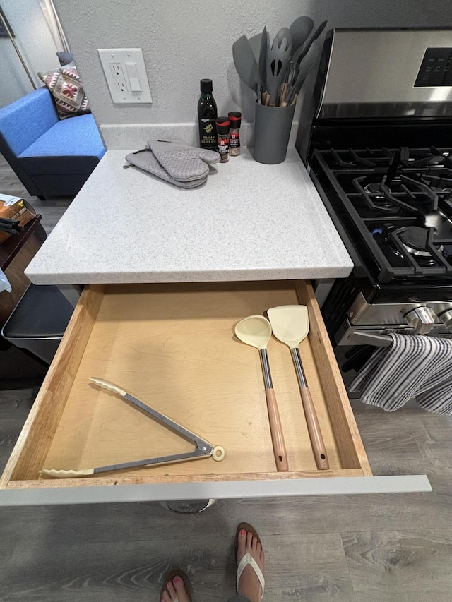 room details with stainless steel gas range oven