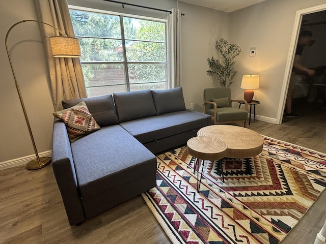 living room with wood-type flooring