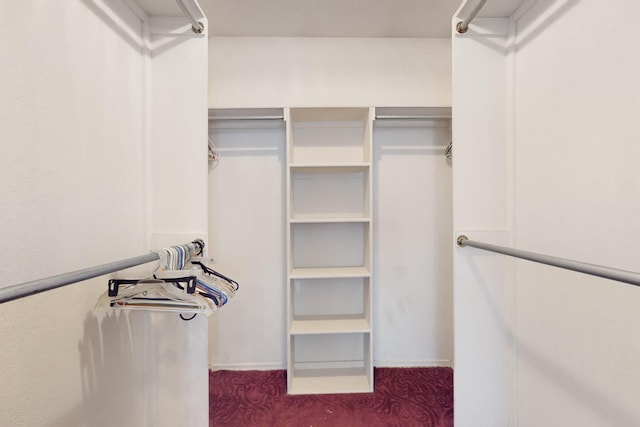 view of walk in closet