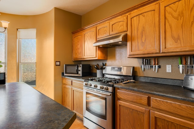 kitchen featuring stainless steel appliances