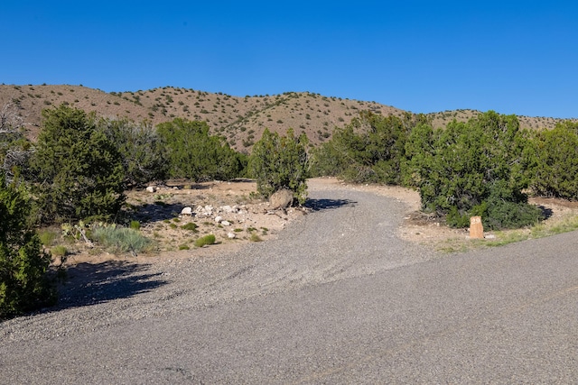 view of road with a mountain view