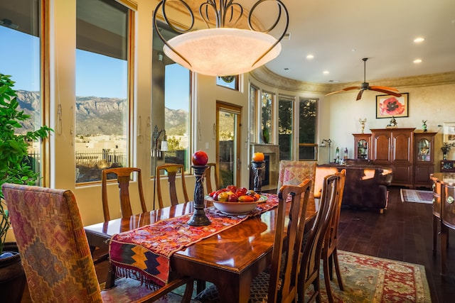 dining room featuring ceiling fan and dark hardwood / wood-style flooring