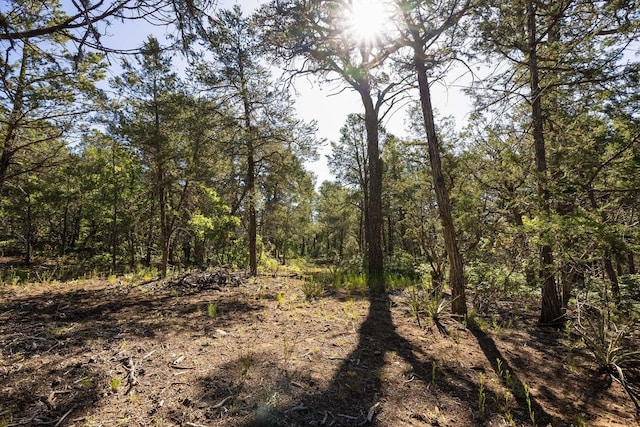 80 Whispering Pines Rd, Tijeras NM, 87059 land for sale