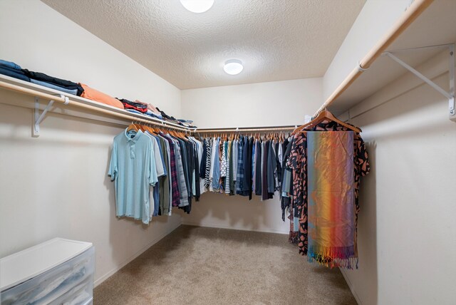 spacious closet with carpet flooring