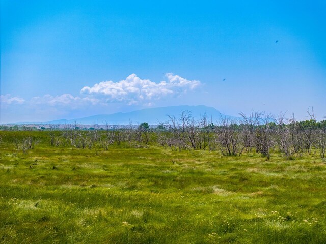 1 Sparkling Moolah, Pena Blanca, NM 87041