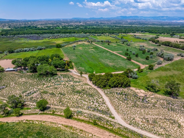 1 Sparkling Moolah, Pena Blanca, NM 87041