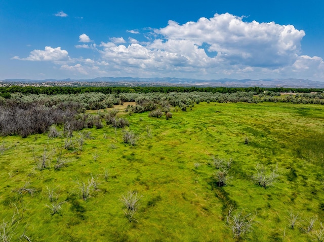 8 Sparkling Moolah, Pena Blanca, NM 87041