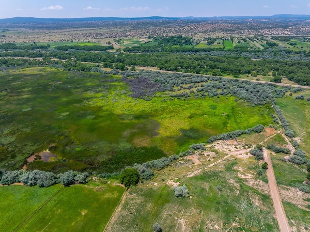 8 Sparkling Moolah, Pena Blanca, NM 87041