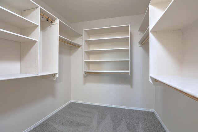 walk in closet featuring carpet