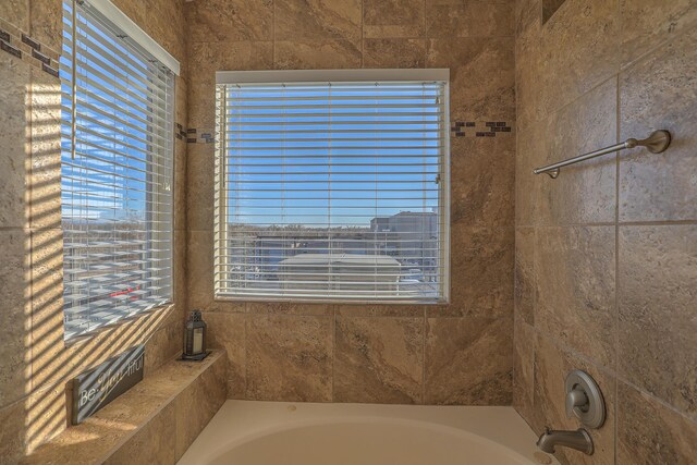 bathroom featuring a washtub and plenty of natural light