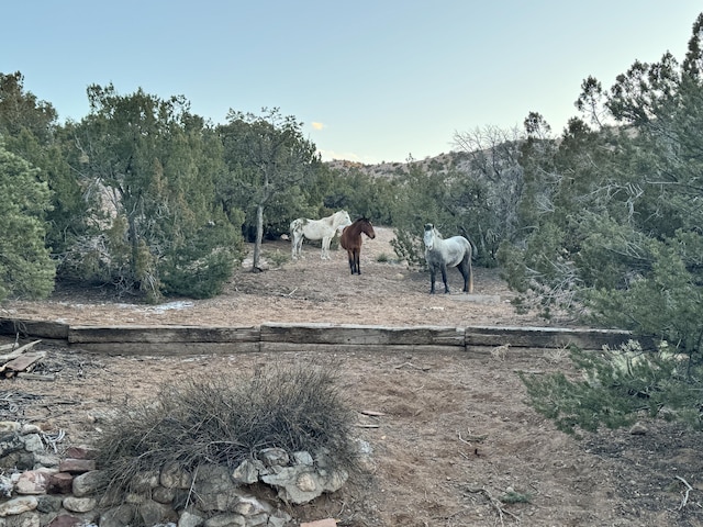 view of local wilderness featuring a rural view