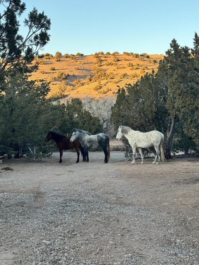 surrounding community featuring a rural view