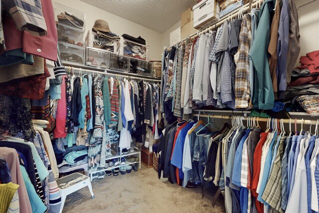 walk in closet featuring carpet flooring