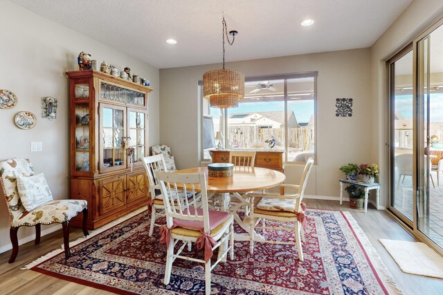 dining space with light hardwood / wood-style floors