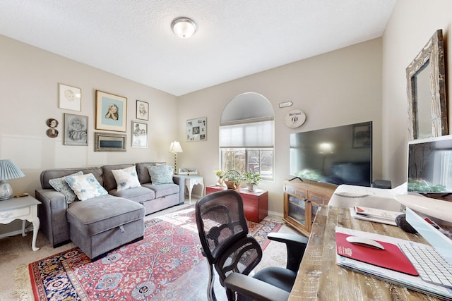 living room with carpet floors and a textured ceiling