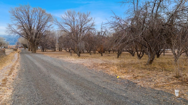 Listing photo 3 for 60 Blue Sky, Corrales NM 87048